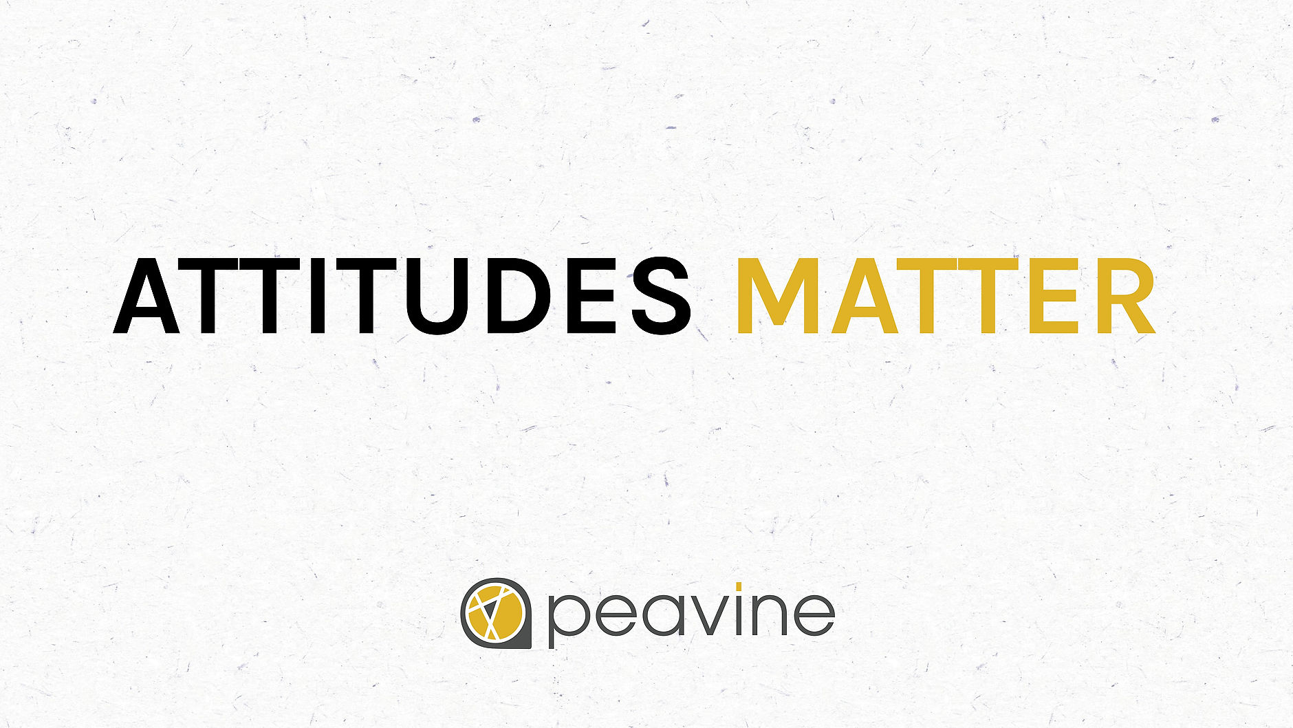Attitudes Matter
